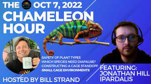 Chameleon Academy: The Chameleon Hour, Oct 7, 2022 | Panther Chameleon