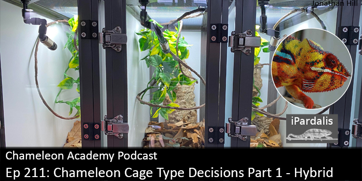 Chameleon Academy: Chameleon Cage Type Decisions Part 1 - Hybrid | Panther Chameleon